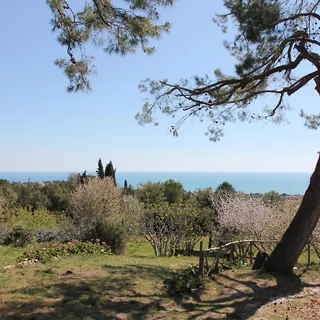 فيلة Panorama سيرولو