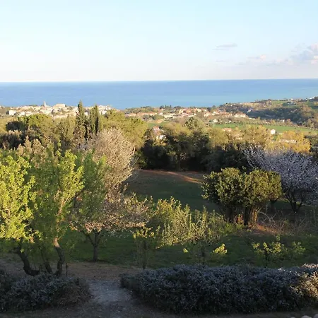 Panorama * Сироло