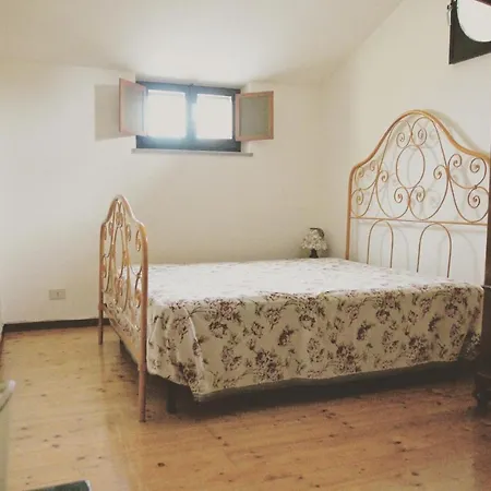 فيلة Panorama سيرولو